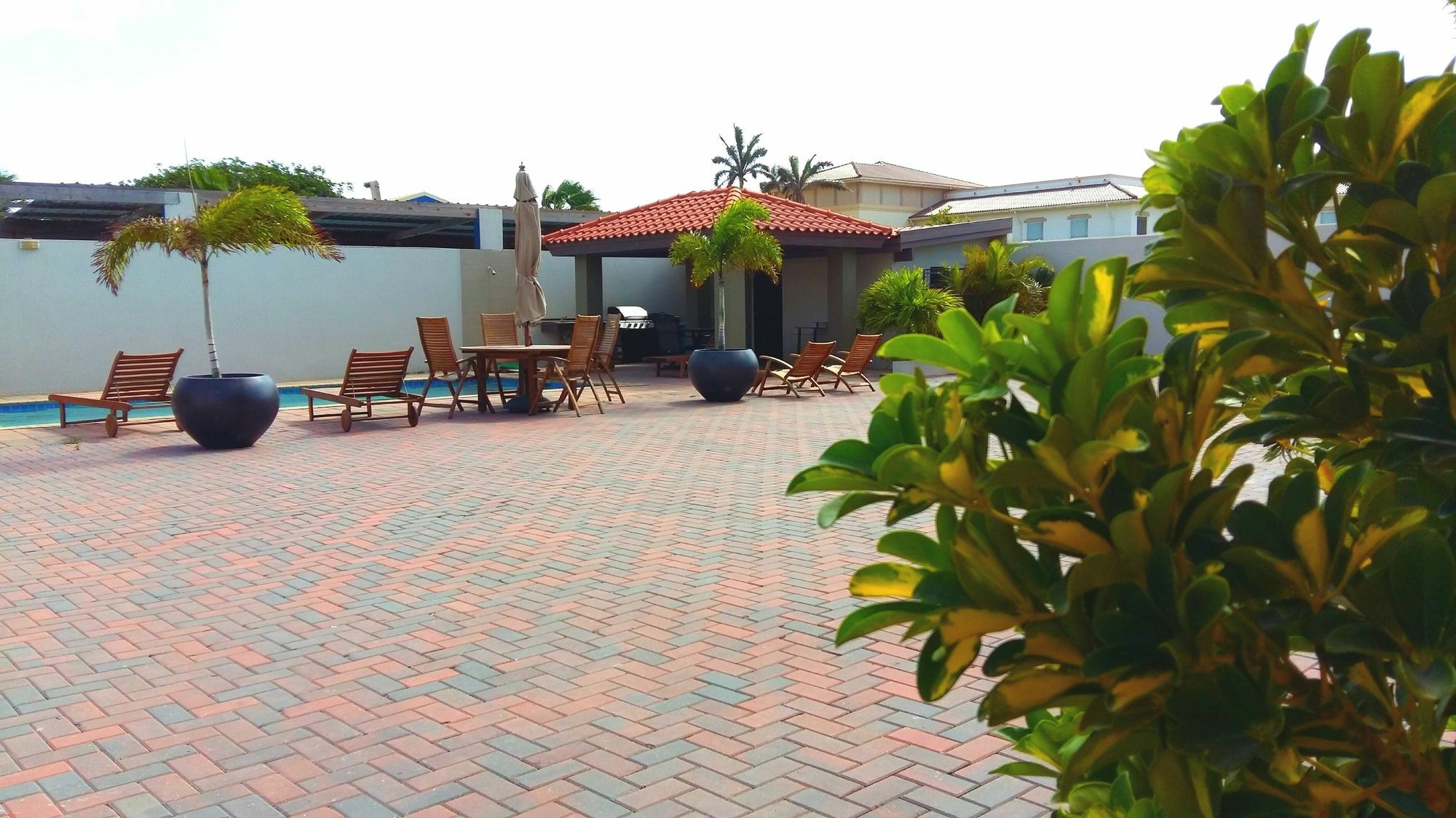 Dorado Eagle Beach Hotel 오란제스타트 외부 사진